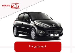 خرید باتری 207